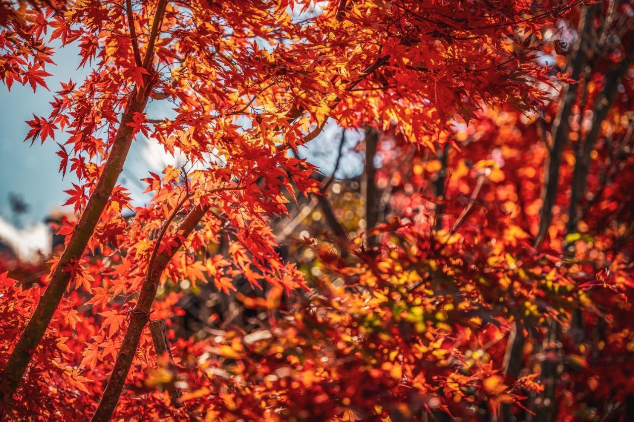 Yamakikan Naganohara Bagian luar foto